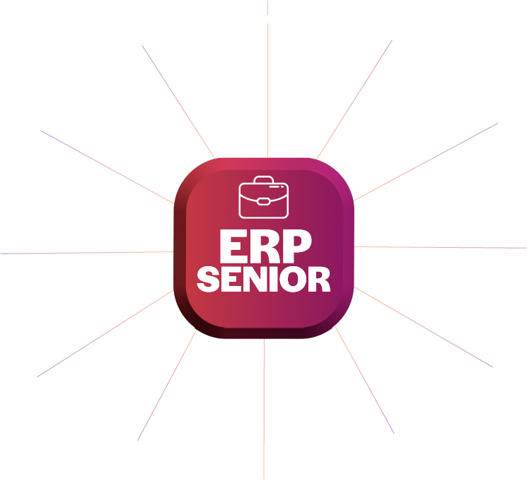 Senior Sistemas - ERP